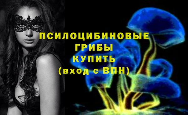 2c-b Алексин