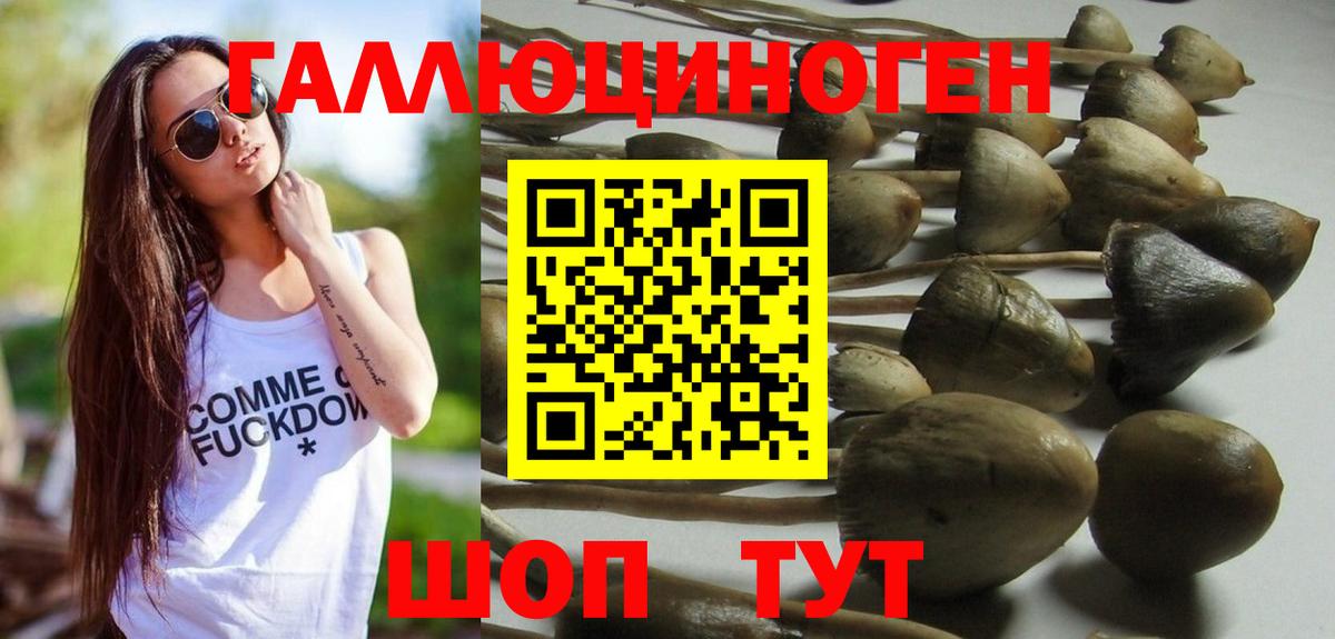 Псилоцибиновые грибы мицелий Киров