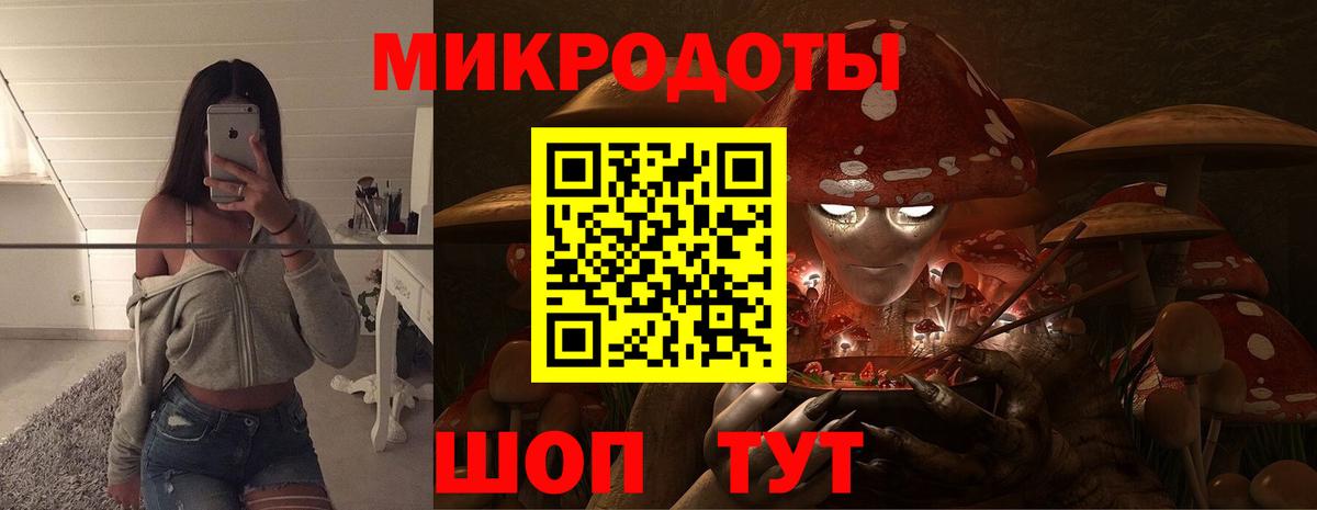Киров  Галлюциногенные грибы Psilocybine cubensis  Вход с VPN 